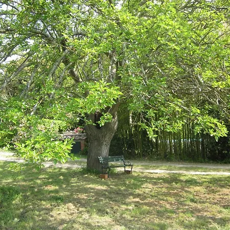 Апартаменты La Locaia