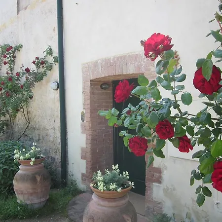 Apartment La Locaia *