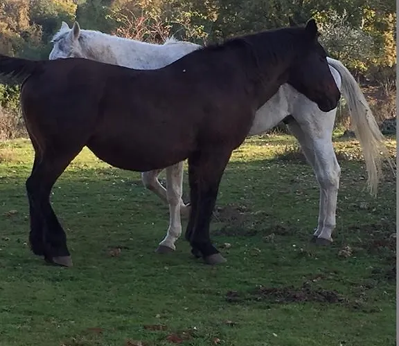 Апартаменты La Locaia Сиена