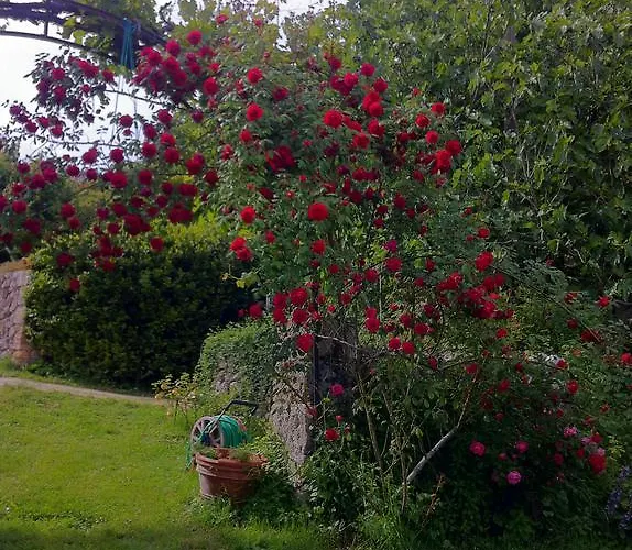 Апартаменты La Locaia