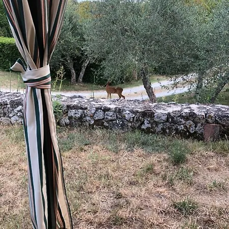 La Locaia