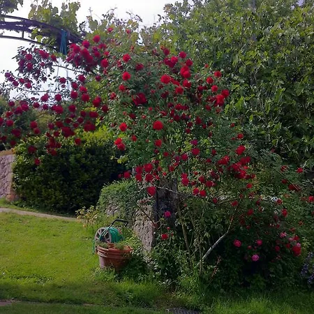 Διαμέρισμα La Locaia