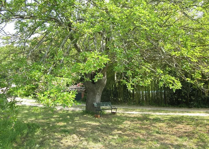 Apartamento La Locaia