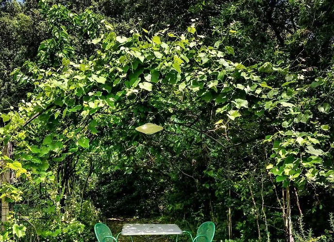 拉洛卡伊亚公寓