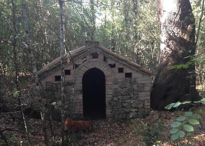 拉洛卡伊亚公寓 *